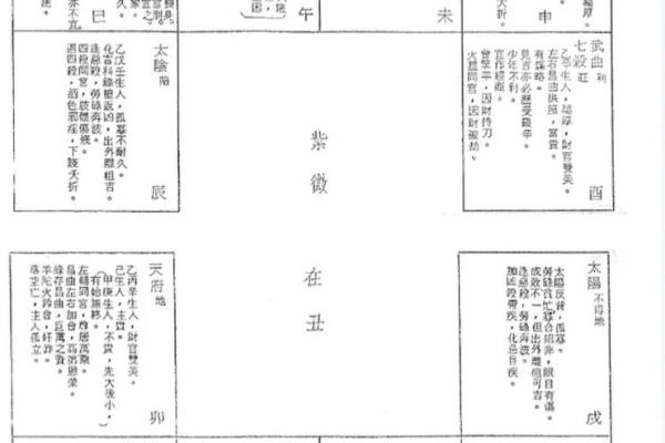 九宫格紫薇斗数盘算命怎么看