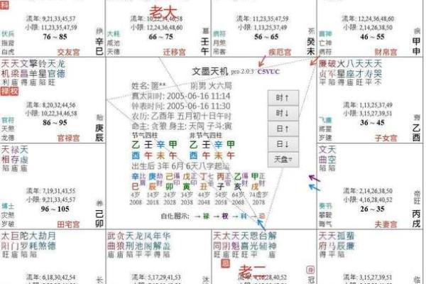 九宫格紫薇斗数盘算命怎么看