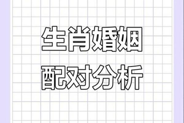 星座姻缘生肖配对