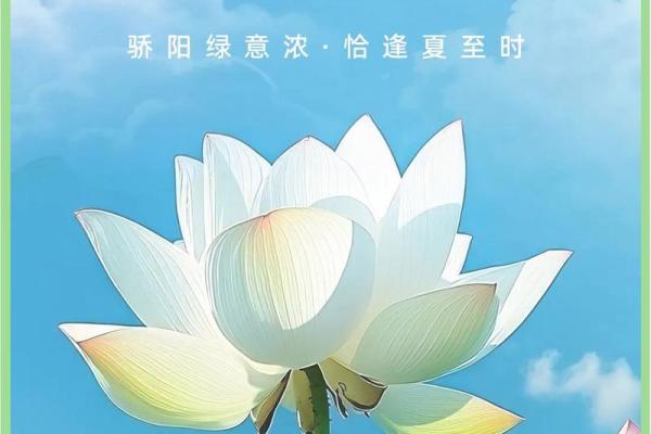夏至的寓意和象征 夏至的民间民俗