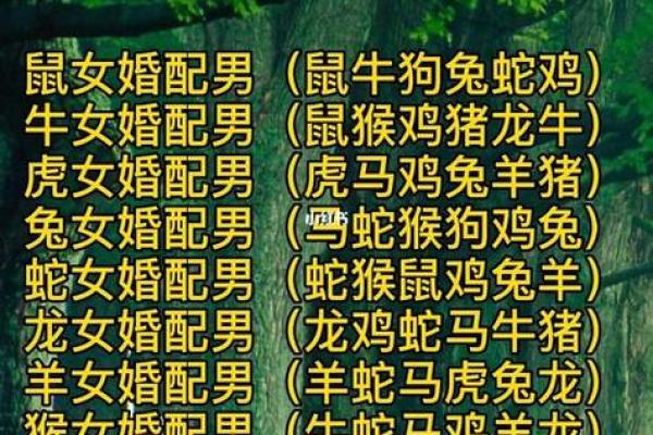男女婚姻属相配对表 如何利用男女婚姻属相配对表选择恋爱对象