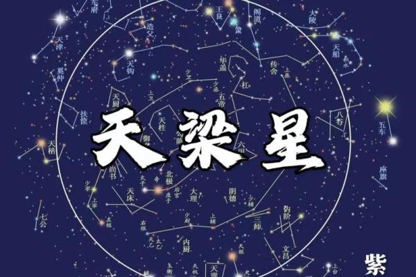 紫薇斗数正崾