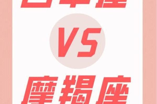 白羊男和摩羯女配对