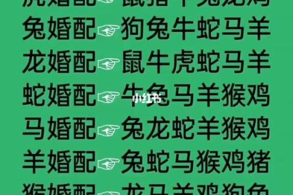 1996年属什么生肖配对 属相婚配表解析