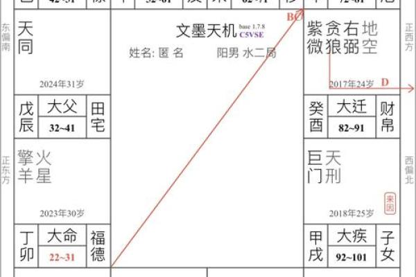 紫微斗数术语解释之：格局