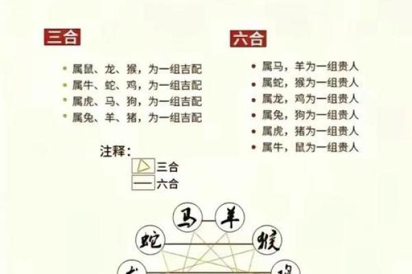 1974年属什么生肖配对 多大几岁 配偶