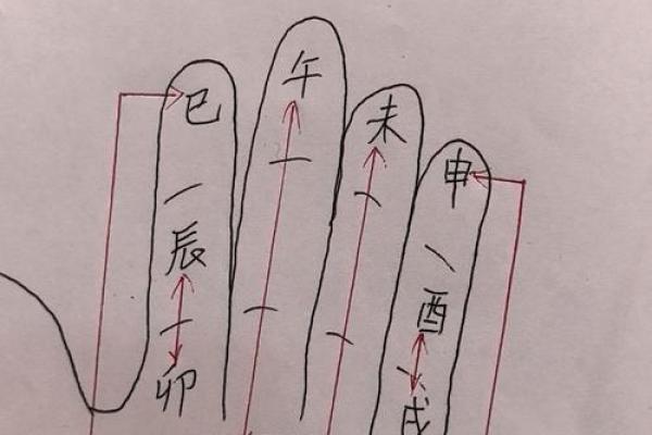 紫薇斗数掌决