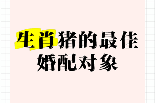 属猪的婚姻配对最佳 属猪的婚配宜忌