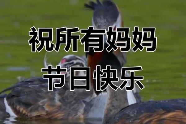 祝妈妈节日快乐