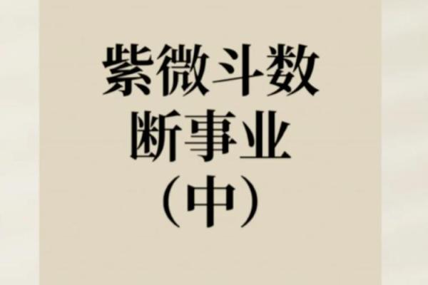 紫薇斗数外国人