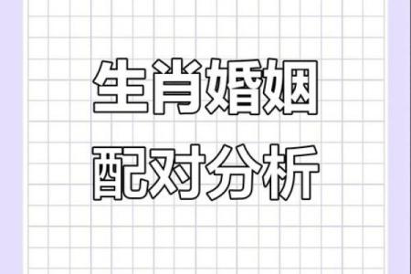 星座姻缘生肖配对
