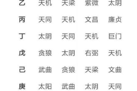 紫薇斗数舞曲