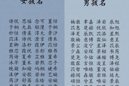 2019年5月11号卯时出生的男孩起名方法姓名