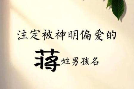 蒋姓女孩名字大全-蒋姓女孩起名字大全-蒋姓名字大全姓名
