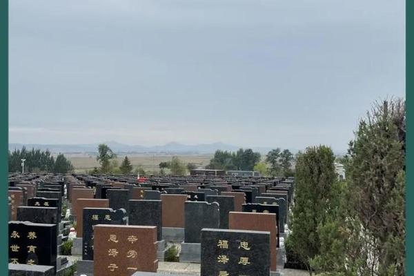 龙山陵园公墓风水怎么样