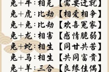 兔属相与什么属相最配 兔子跟什么生肖最配对和最好