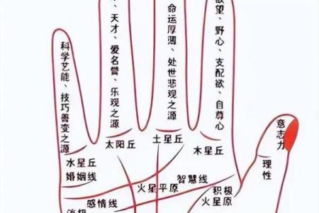 生命线上有三角纹是好兆头吗手相风水