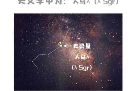 紫微斗数十四主星： 天梁星概论