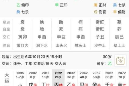 八字丁巳日