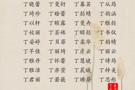 丁姓女孩名字大全-丁姓女孩起名字大全-丁姓名字大全姓名