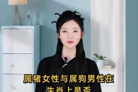 属猪的和什么属相配对好