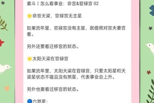 奏书紫微斗数,奏书在命宫的解释