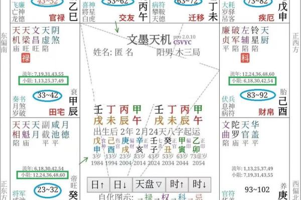命理学紫薇斗数