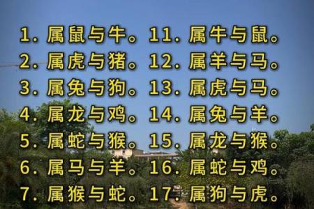 婚姻配对姓名查询表 婚姻配对姓名免费测试？