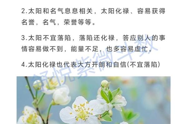 紫薇斗数四化