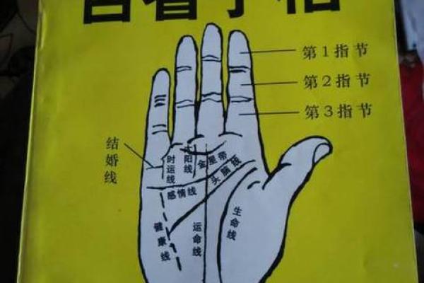 免费拍照看手相算命