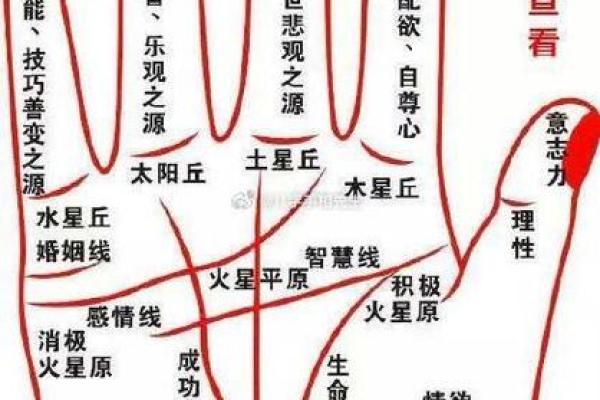 免费拍照看手相算命