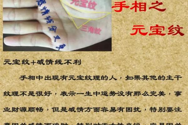 《手相学习百科》：掌纹介绍