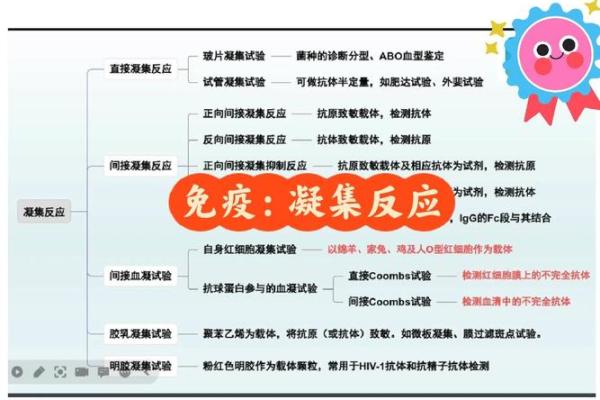 抗a凝集是什么血型