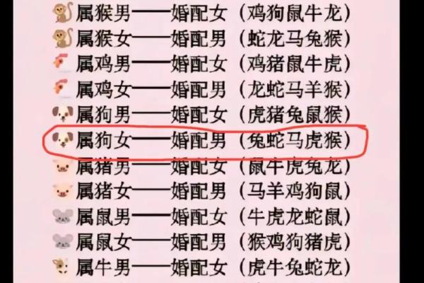 属猪生辰八字