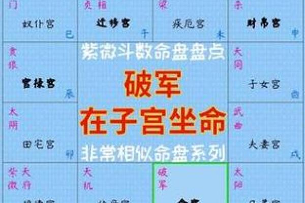 免费紫微命盘配对