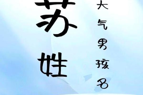苏姓男孩名字大全-苏姓男孩起名字大全-苏姓名字大全姓名