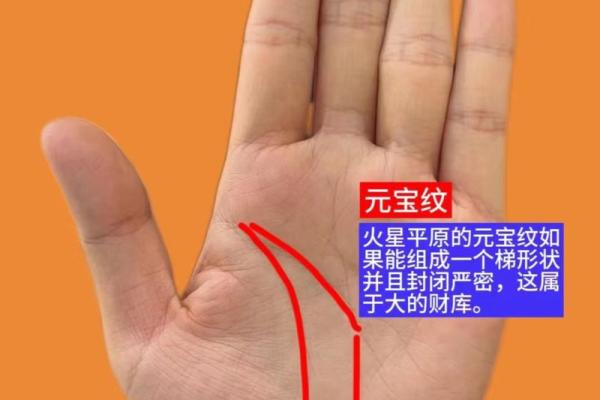《手相学习百科》：手的形状