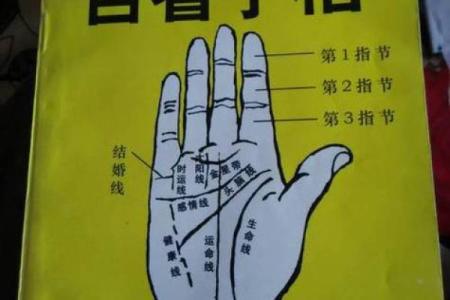 免费拍照看手相算命