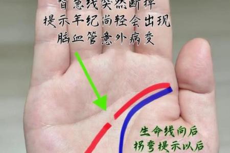《手相学习百科》：掌纹介绍