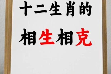 鼠和什么属相配对幸福