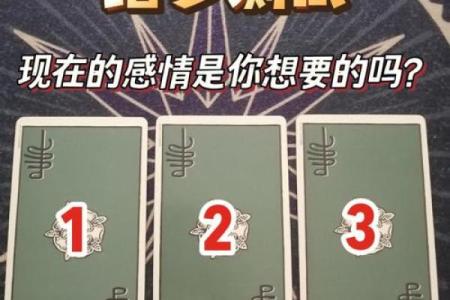 塔罗测试：年前财门哪里开？