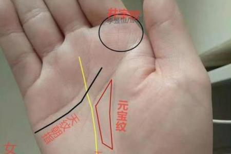 《手相学习百科》：手的形状