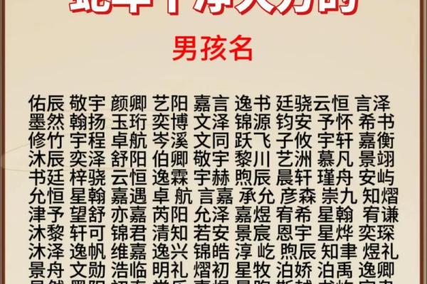 2019年3月28号亥时出生的男孩如何起名姓名