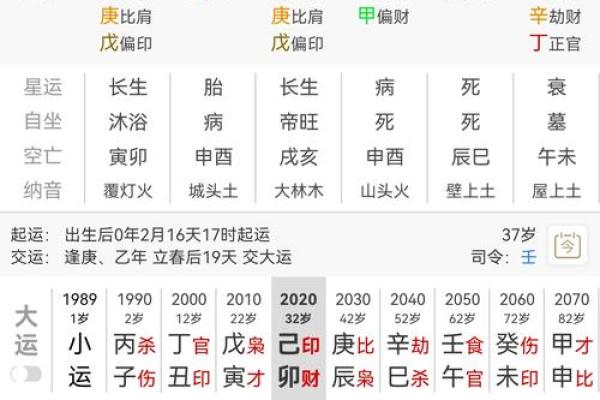 金水伤官八字