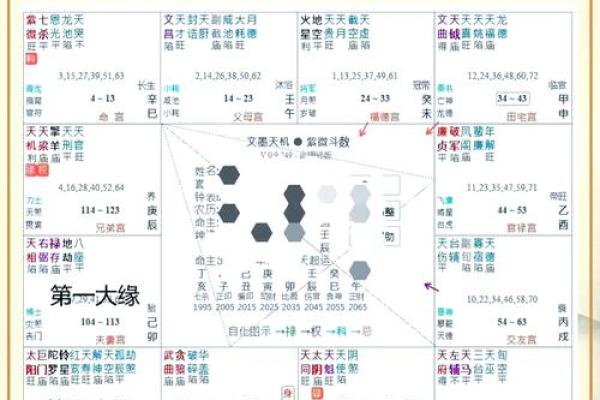 紫薇斗数福德紫薇天相