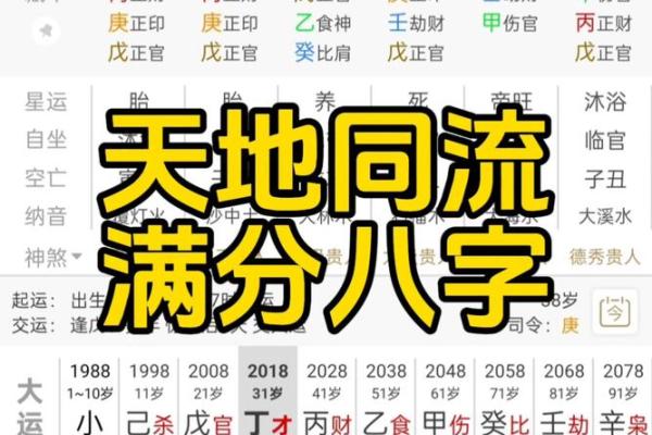 【1992年最佳八字】全面解读！成功者必看！