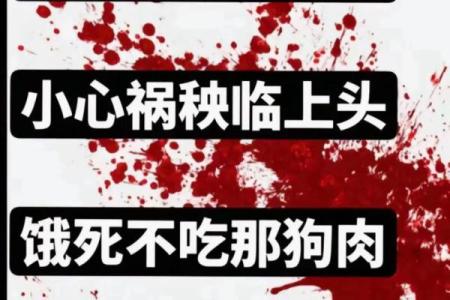 哪些人八字中不宜吃狗肉