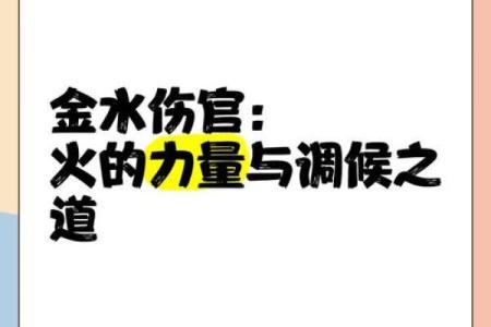 金水伤官八字