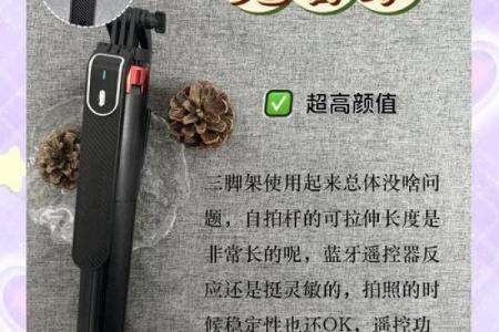 十二星座适合戴什么自拍杆啊