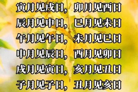 朱雀值日：如何避开2024年8月5日老黄历的凶日